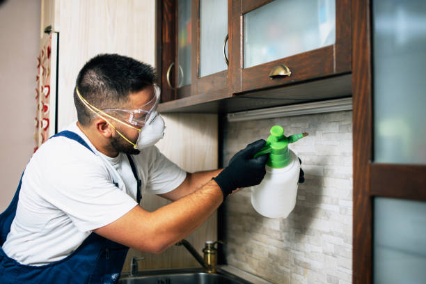 Best Pest Removal Services  in Eulyptus Hills, CA