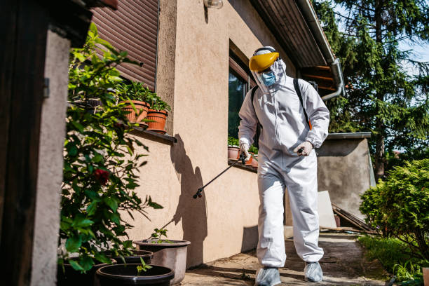Best Flea Control Services  in Eulyptus Hills, CA