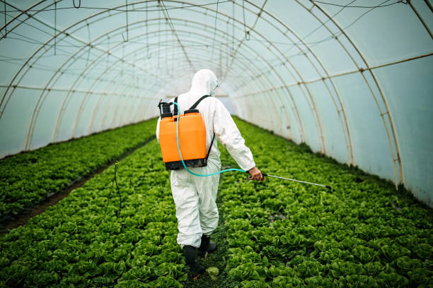 Best Pest Control Near Me  in Eulyptus Hills, CA
