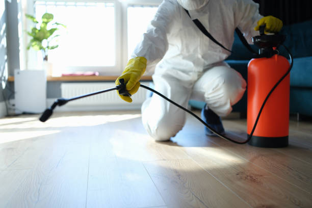 Best Residential Pest Control  in Eulyptus Hills, CA