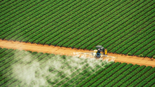 Reliable Eucalyptus Hills, CA Pest Control Solutions