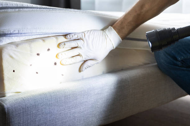 Best Best Pest Control Companies  in Eulyptus Hills, CA