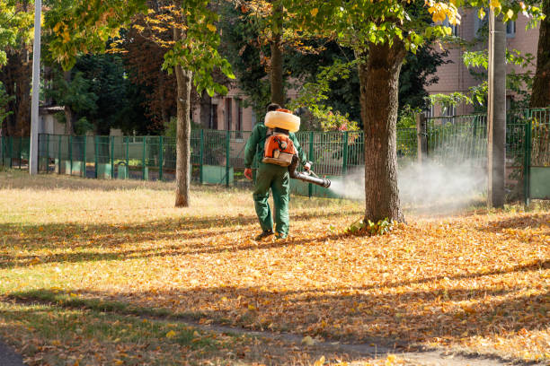 Best Pest Inspection Near Me  in Eulyptus Hills, CA